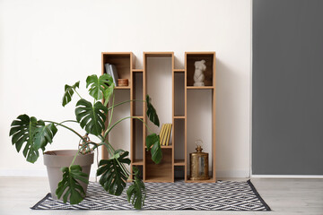 Interior of light room with Monstera houseplant and shelving unit