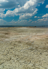 Sun-dried dead crustaceans Artemia salina on cracked therapeutic mud in the Kuyalnitsky estuary in...