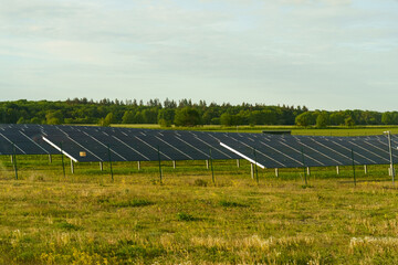 Solar panels in the field in the summer evening in the rays of the setting sun