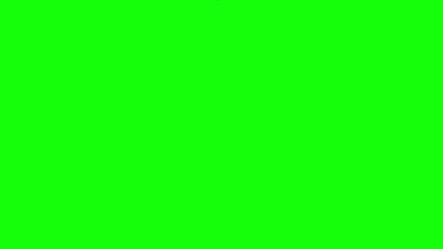 vector  Rocket going up on green screen