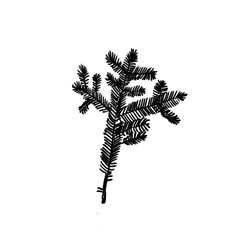 Merry Christmas - branch christmas decorations - black pencil hand drawn illustration (transparent PNG)