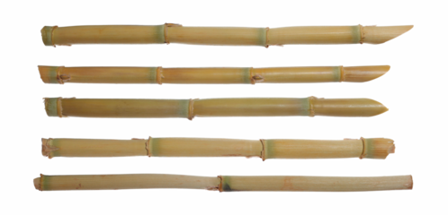 Bamboo sticks set and collection with clipping path, isolated on white, clipping path