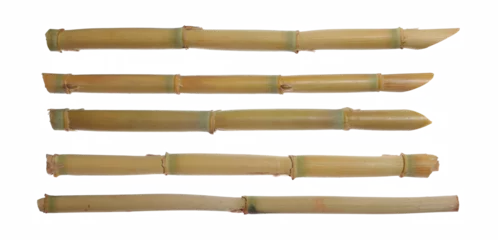 Poster Bamboo sticks set and collection with clipping path, isolated on white, clipping path © dule964