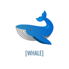 Blue whale on transparent background. Blue whale infographic card. Whale. 