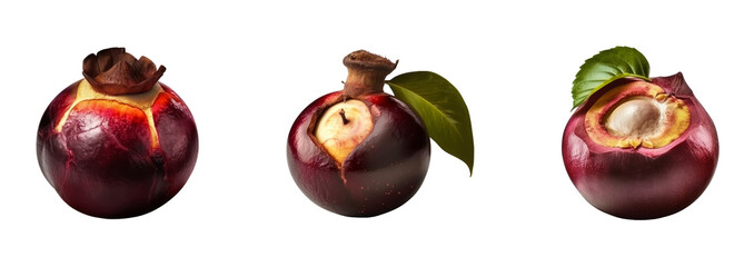 Set of mangosteen isolated on transparent background. Three stages of growth. Concept of healthy...