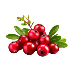 Lingonberry isolated on transparent background. concept of healthy fruit.