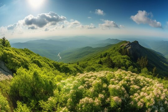 Gorgeous summer panorama of Blue Ridge Parkway, Asheville, NC - ideal for web header. Generative AI