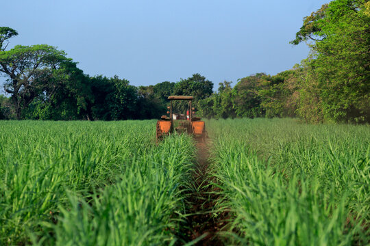 Industrial agricultural plow tractor working in a sugar cane field in El Salvador, Central America.