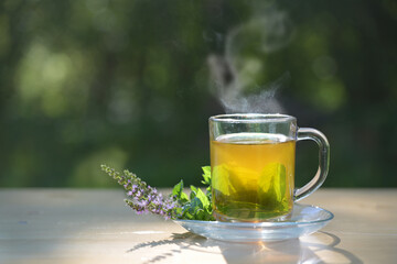 Steaming herbal tea made from fresh peppermint leaves in a glass cup, flowering twigs lying next to it on a wooden table in the garden, dark green background, copy space - 644210536