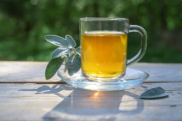 Sage tea in a glass mug on a wooden table, healthy hot drink and home remedy for coughs, sore throat, digestive problems, gingivitis and sweating, dark green background, copy space