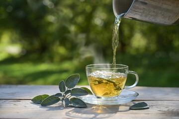 Pouring hot water in a glass cup with sage leaves, healthy herbal tea and home remedy for coughs, sore throat and digestive problems, dark green background, copy space - 644211582