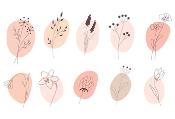 Pink cupcake. Vector illustration. Sweet dessert. Delicious pastries. Whipped cream. The confectionery logo. Isolated on a white background.