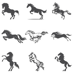 set of horses silhouettes, horse, silhouette, animal, vector, illustration, icon, wild, running, farm, animals, set, black, stallion, nature, race, dog, mammal, pet, pony, collection