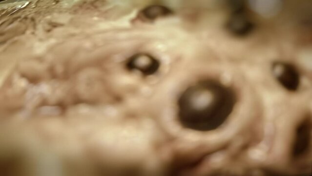 Close-up of disgusting crawling alien creature with many eyes. Sci-fi, science fiction film theme. Ommetaphobia, trypophobia concept. Horror movie clip. Extraterrestrial monster. Parasite. 