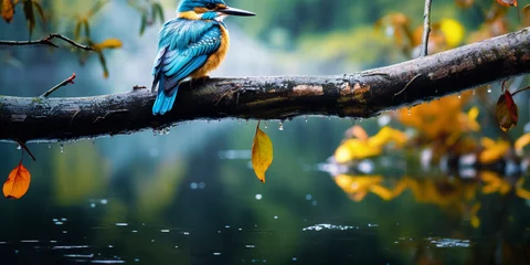 Deurstickers Tropical lake in the rainforest, colorful bird species perched on tree branches by the lake, soft rain creating ripples in the water, weather © Marco Attano
