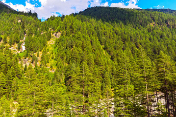 Timmelstalbachfall bei Zwieselstein-Sölden (Tirol) 