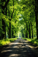 Obraz premium Winding footpath through green forest. Generative AI