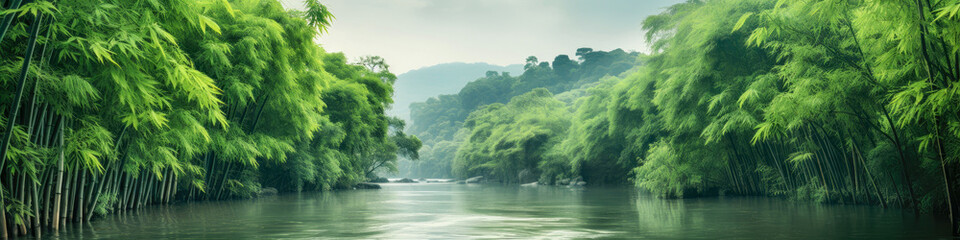 Green bamboo river tropical landscape panorama