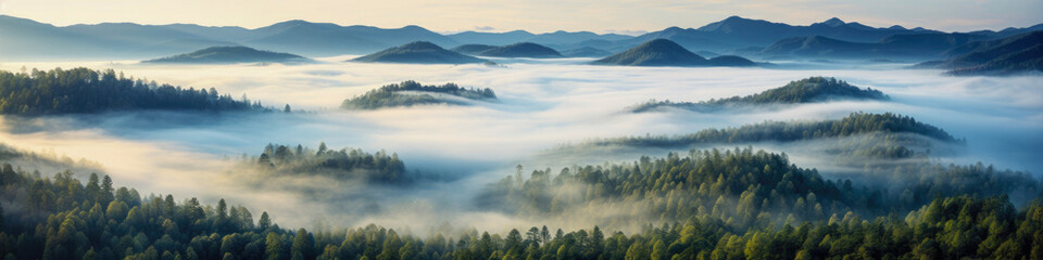 Fototapeta premium Misty woodlands, enchanting forests shrouded in mist, landscape panorama, aerial view