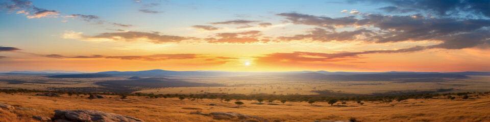 Fototapeta premium Savannah plains, expansive grasslands with acacia trees during sunset, landscape panorama