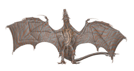 dragon is flying 