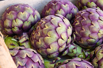 Obraz premium Big purple globe artichokes heads vegetables on farmers market in Brittany, France