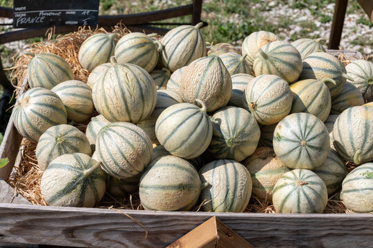 Melons from Cavaillon, ripe round charentais honey cantaloupe melons on local market in Provence, France