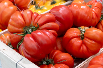 Assortment of french salad tomatoes, new harvest of big heirloom tomatoes on market in Provence, France