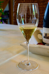 Tasting of grand cru sparkling white wine with bubbles champagne by old champagne house in grand cru wine producer small village Ambonnay, Champagne, France