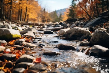 fresh mountain river flowing in autumn under sunset light