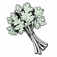 Celery in cartoon, doodle style. 2d vector illustration in logo, icon style. Black and white AI Generative