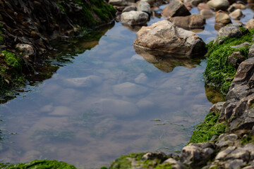 Water pollution, rock pool on English beach full of polluted water and murky brown mud, a massive problem as water pollution and sewage kill our water ways and oceans.