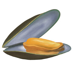 Mussel 