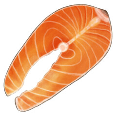 Salmon Slice 