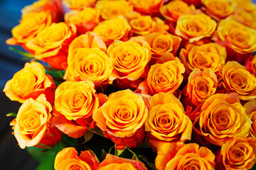 Large and beautiful bouquet of orange yellow roses. 