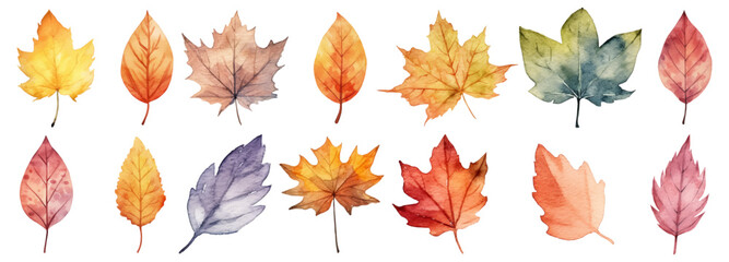 Fototapeta premium Watercolor autumn leaves collection