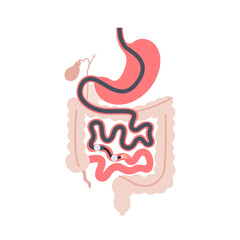 Double balloon enteroscopy