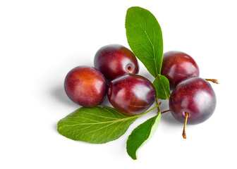 Fresh plums with green leaves still life of ripe fruits, isolated on white background
