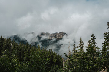 Fototapeta na wymiar mountain in the clouds. Hoh river, Olympic National park, Washington USA