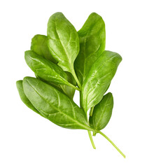 Spinach leaves isolated fresh green salad PNG