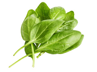 Spinach leaves isolated fresh green salad PNG