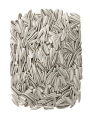 White Sunflower seeds isolated PNG