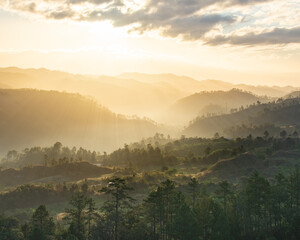 Paisaje de amanecer en Siguatepeque, Comayagua, Honduras. Con niebla y pinos. Hora dorada.