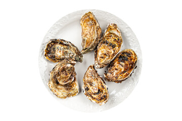 fresh oyster shell clam oysters seafood meal snack on the table copy space food background rustic top view