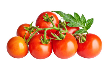 Fresh Tomatoes with green leaves. Tomato vegetables brunch. Vegetable isolated on white background. Organic natural farm grown food harvest. PNG.