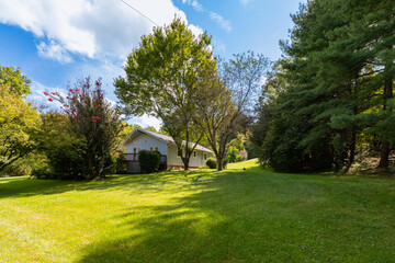 Obraz premium backyard