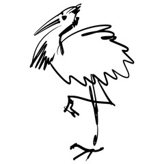 Black and white vector line art illustration of heron.