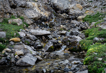 a small creek runs gently down a rock face surrounded by greenery