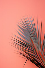 pink texture with palm leaf. pastel background and tropics. flat lay and place for text