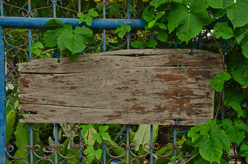 Old  wooden board for sign on metal fence